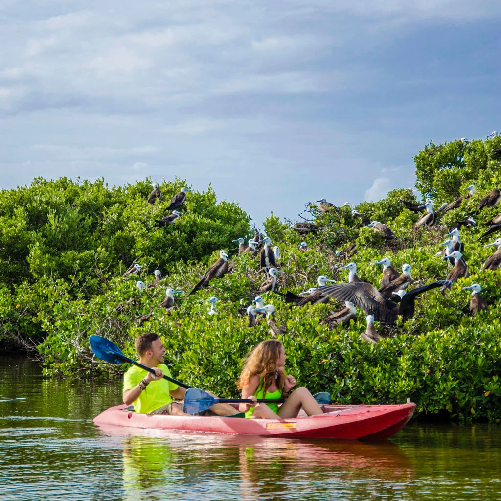 Water activities in Barbuda