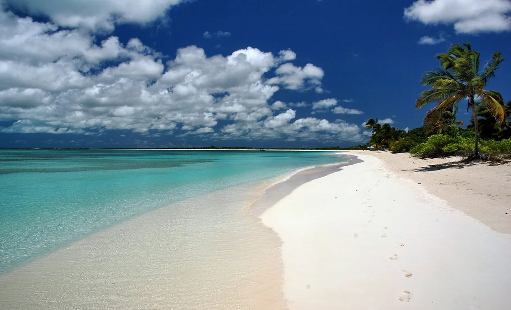 Barbuda island tour experience